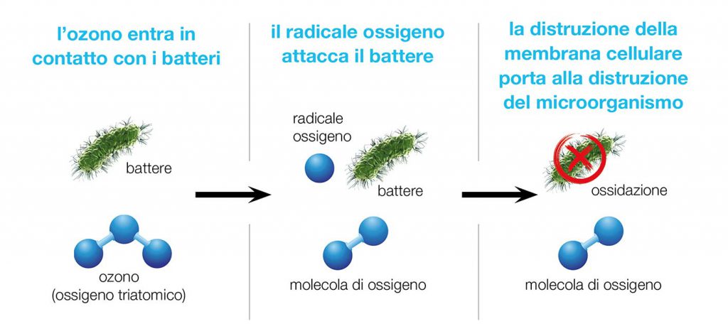 icona_servizi